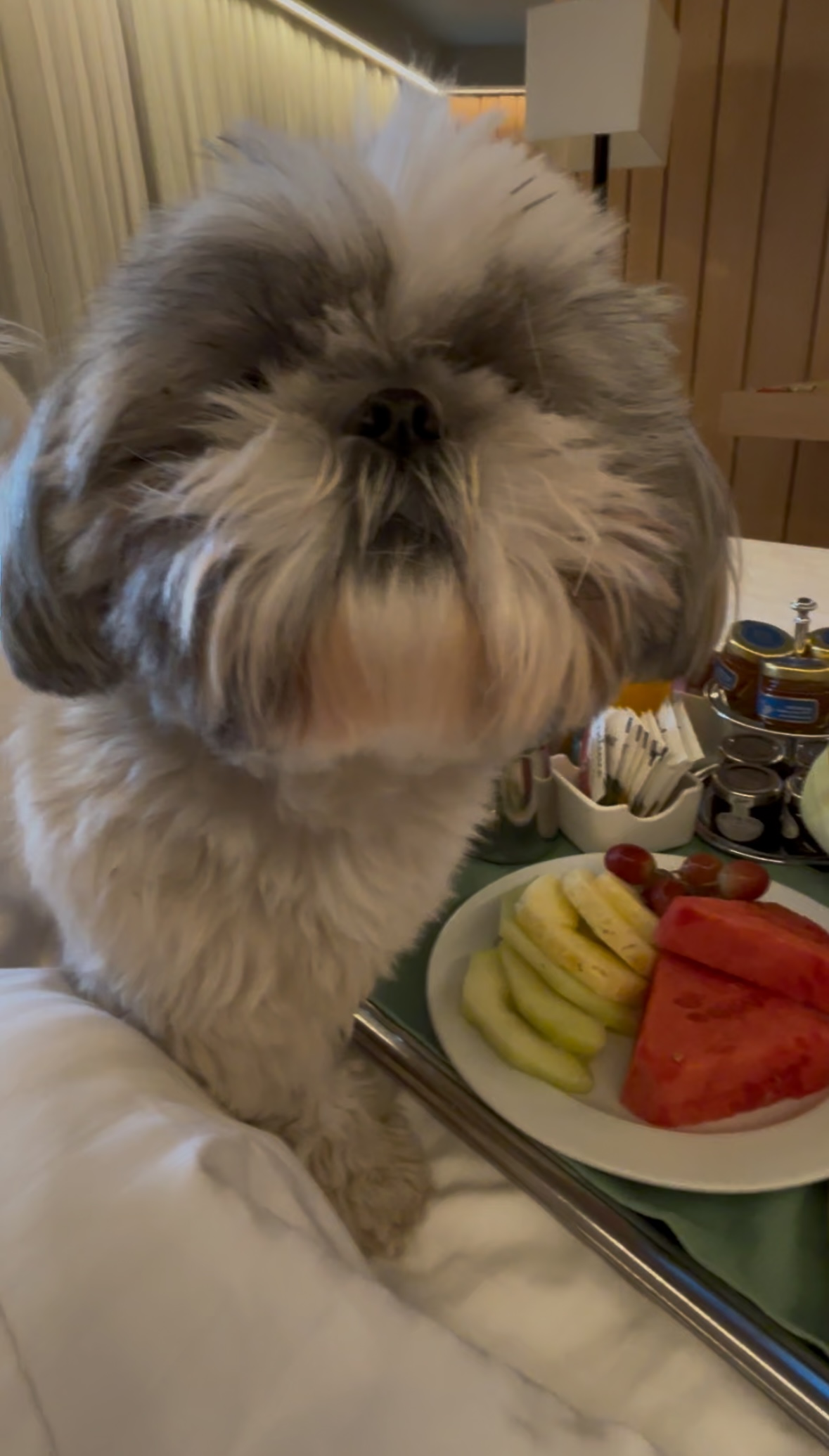 Room-service breakfast, supervised