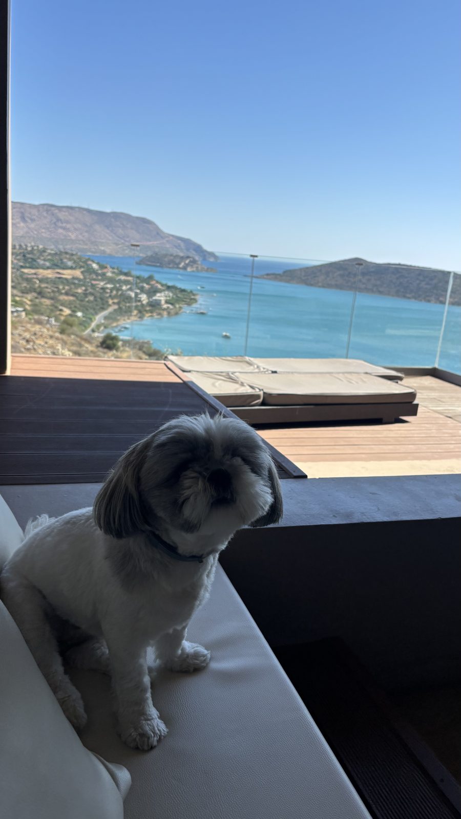 Domes Aulus Elounda, Curio Collection by Hilton, Crete, dog-friendly hotel, photo 5