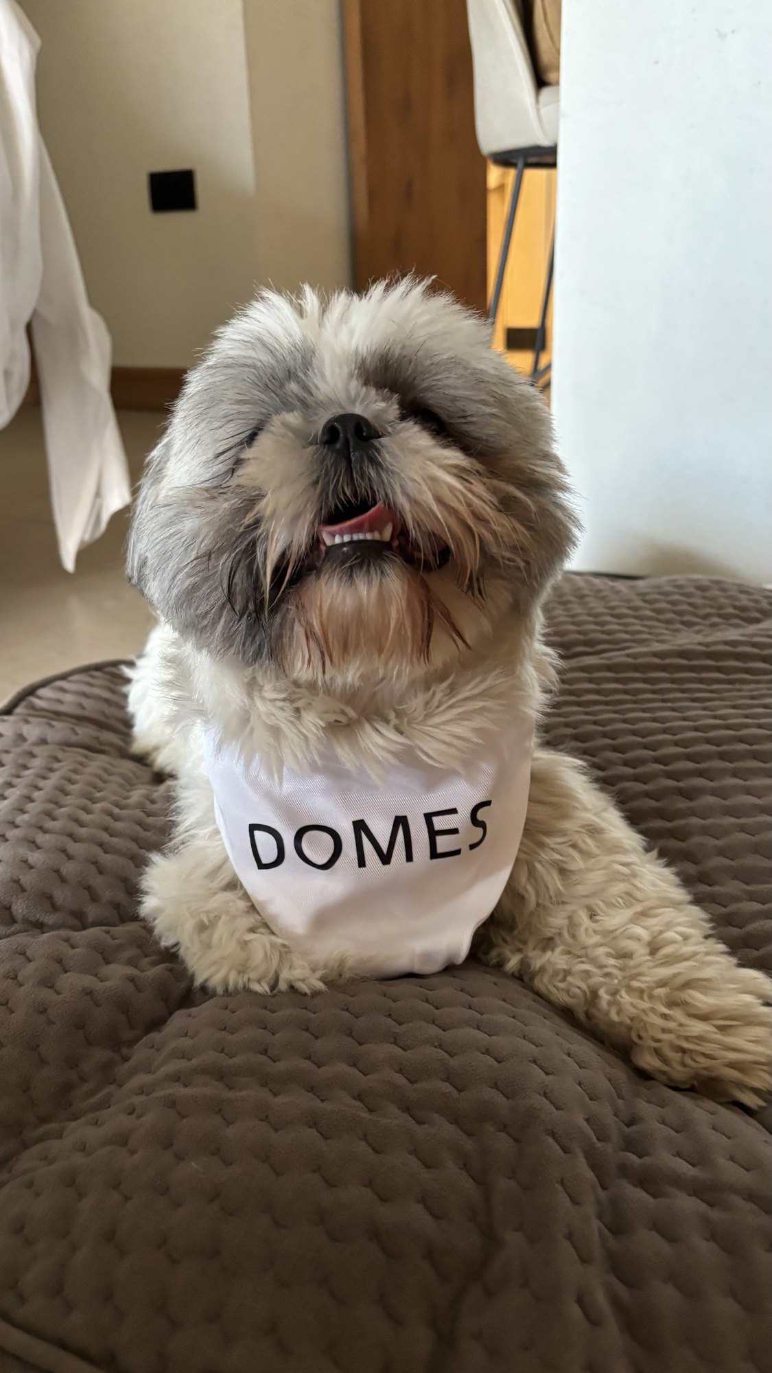Domes Noruz Chania, Autograph Collection, dog-friendly hotel, photo 5