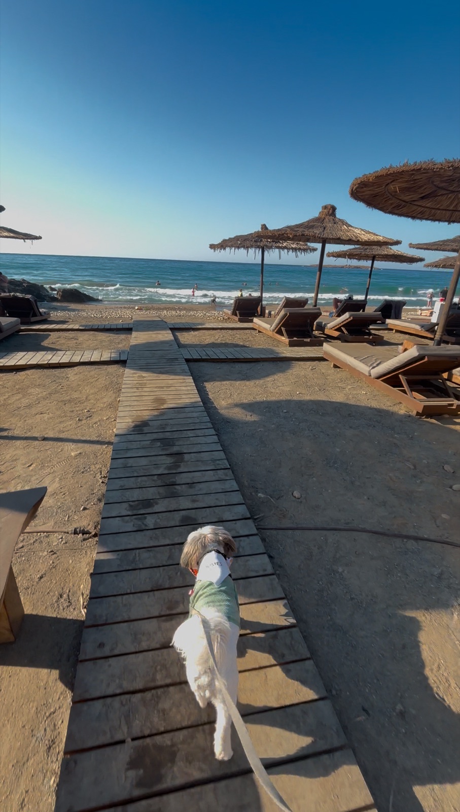 Domes Zeen Chania, a Luxury Collection Resort, Crete, dog-friendly hotel, photo 4