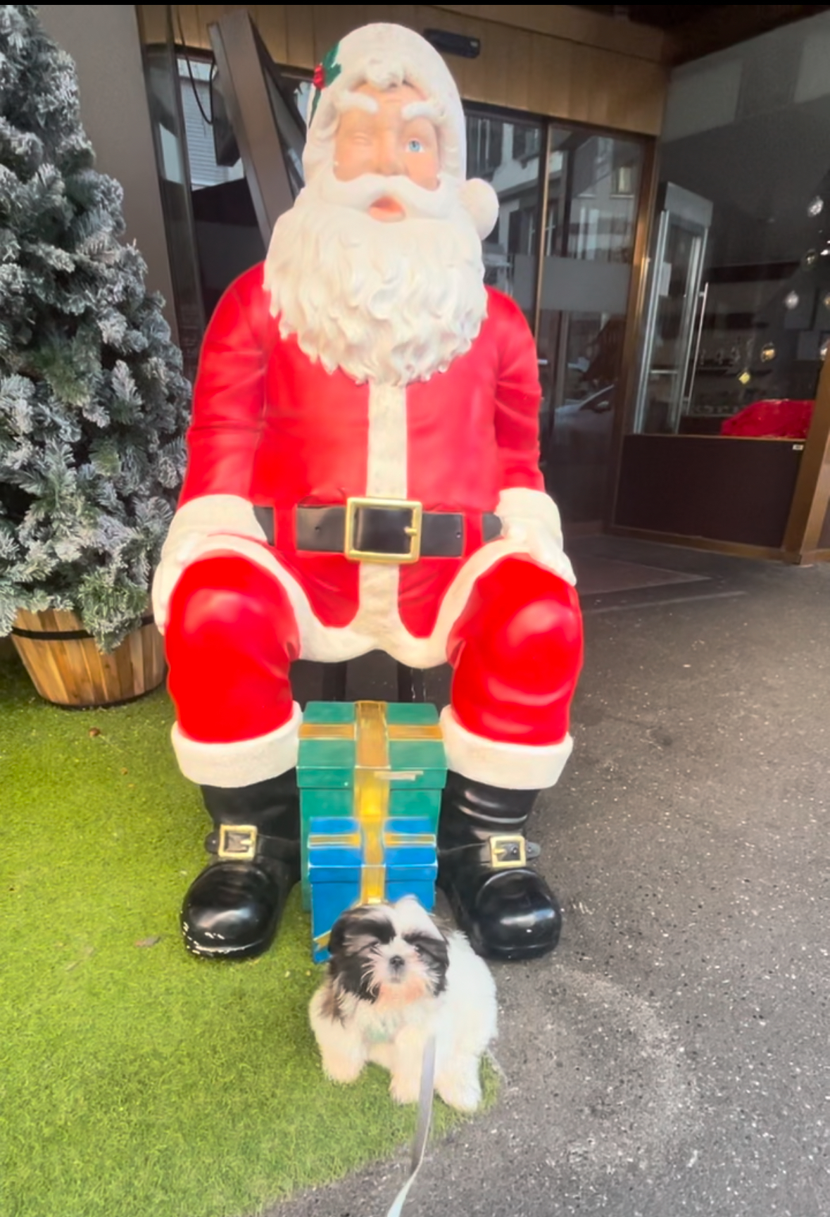 Grand Hotel Suisse Majestic, Autograph Collection, dog-friendly hotel, photo 3