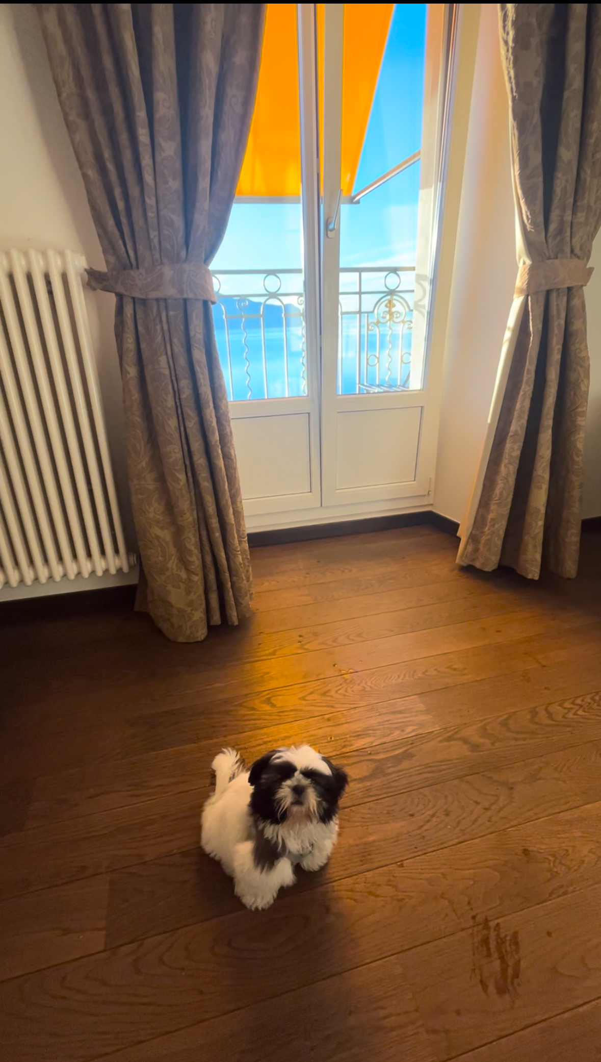 Wooden floors throughout