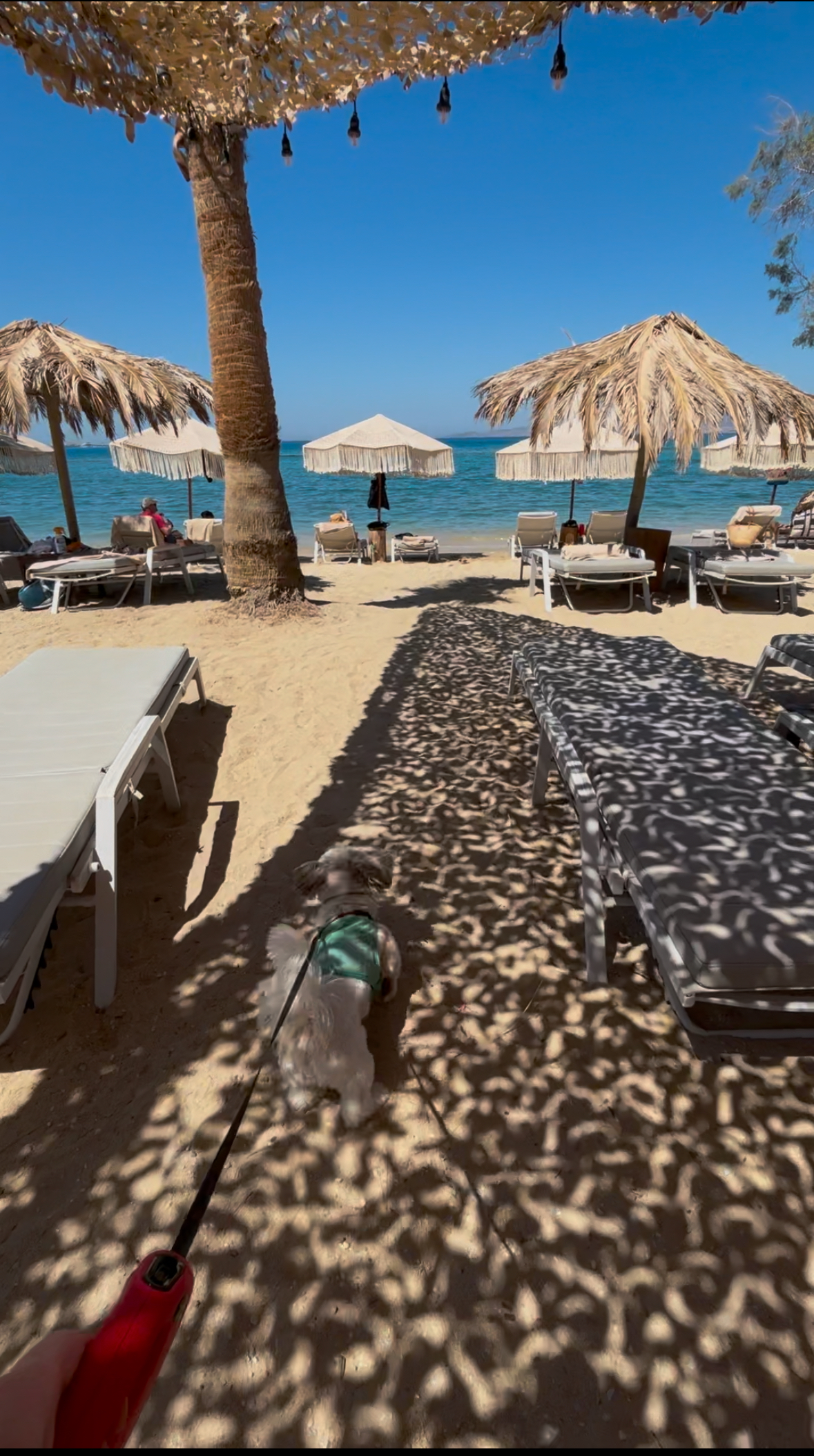 Naxos Day 2: Hidden Beaches to Ancient Temples – Complete Guide