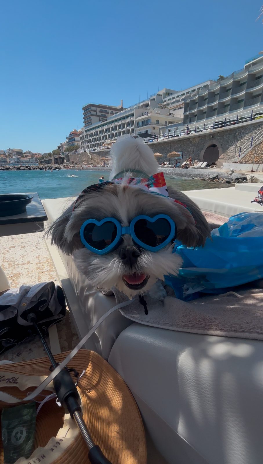 NIKO Seaside Resort MGallery, Crete, dog-friendly hotel, photo 2