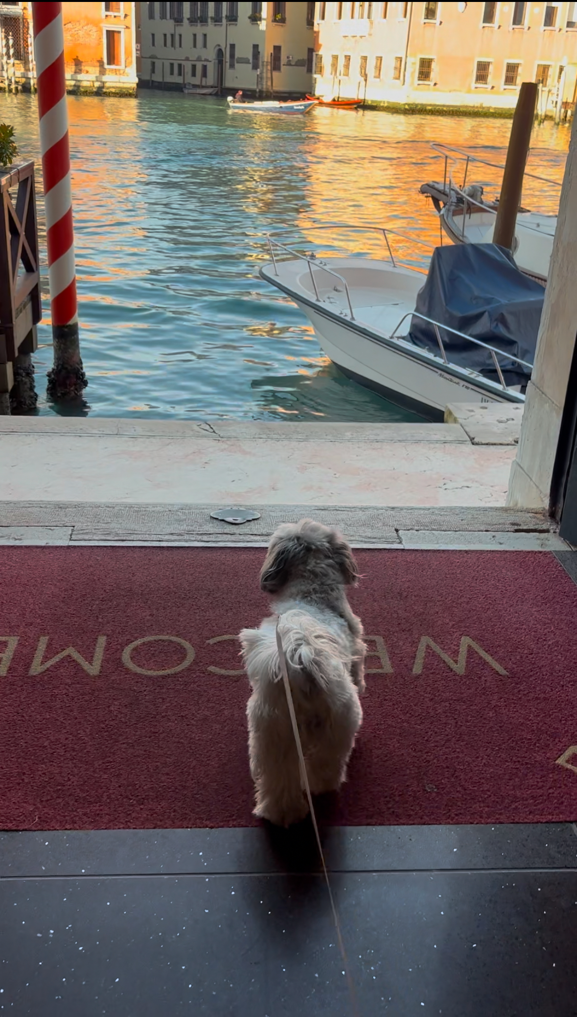 Palazzo Barocci, dog-friendly hotel, photo 4