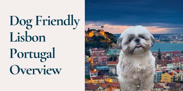 A laid-back stay in the city