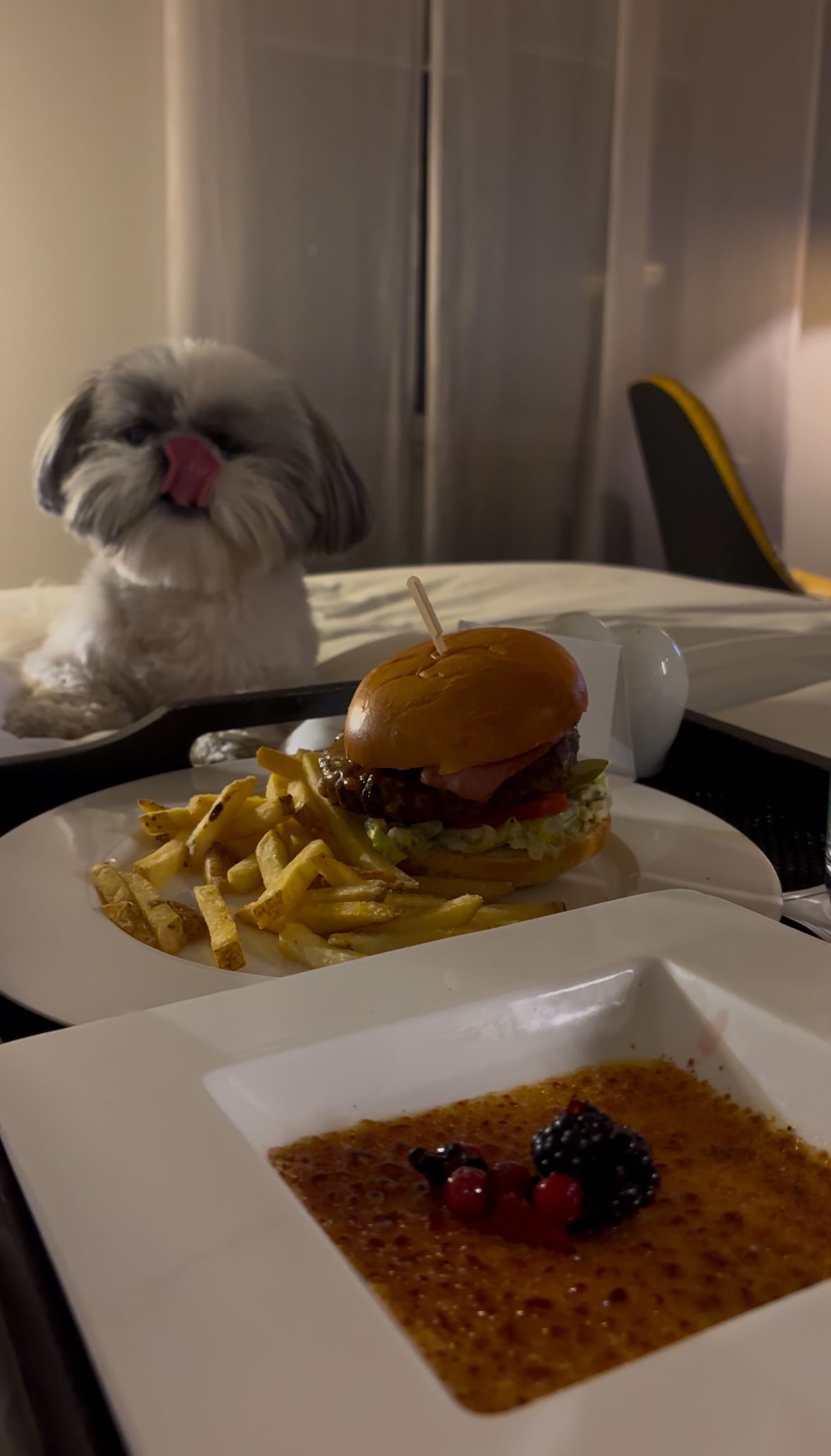 A posh dog bowl at DÉLiCE