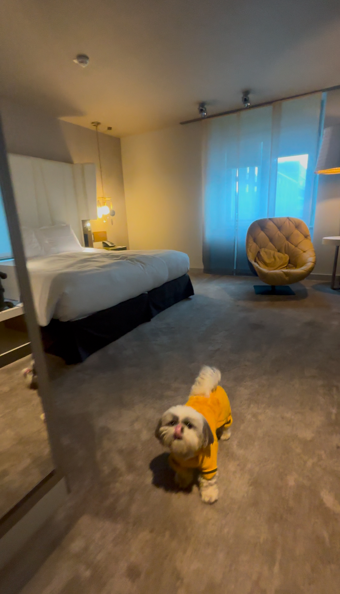 Room service in bed