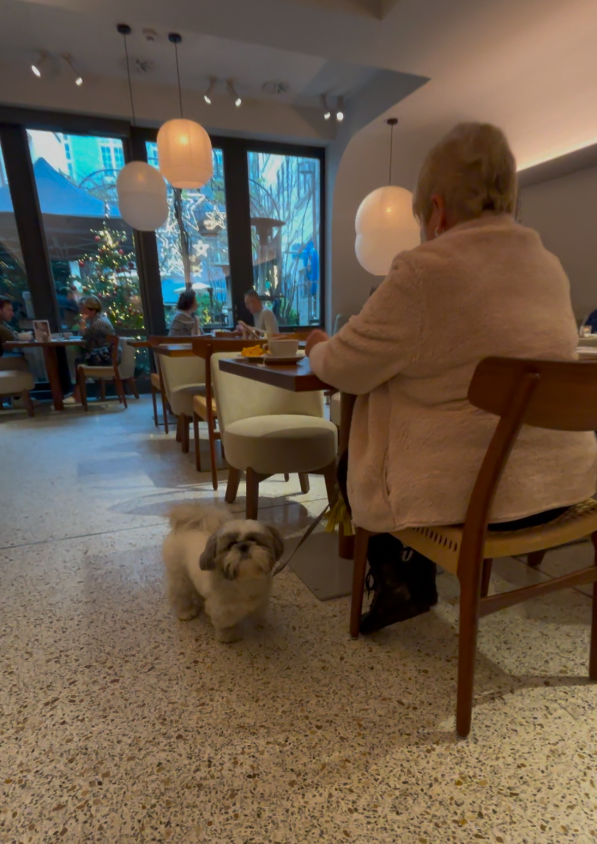 Restaurant Enja dog friendly