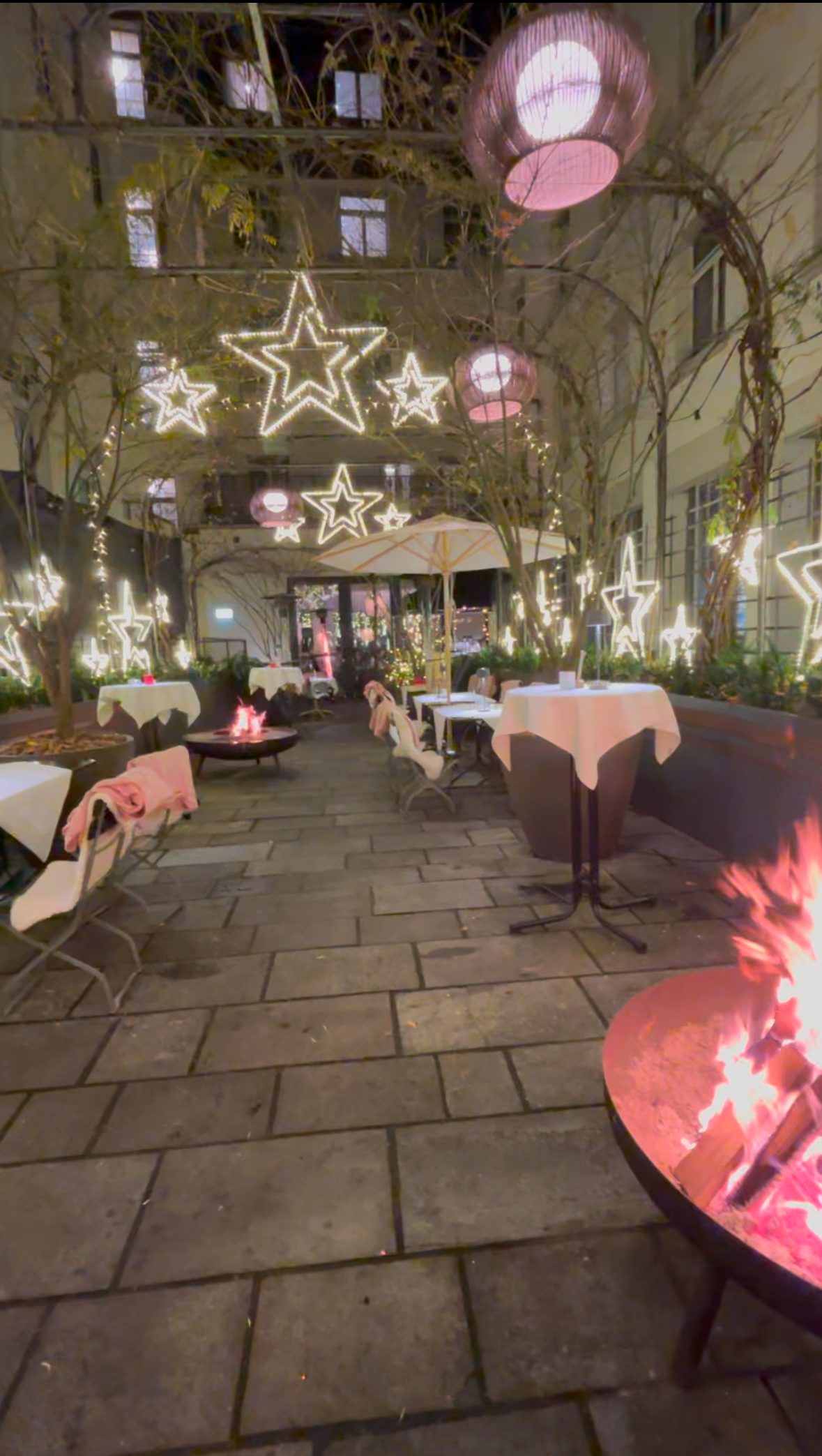 Restaurant Enja dog friendly restaurant winter garden roasting marshmallows and bread