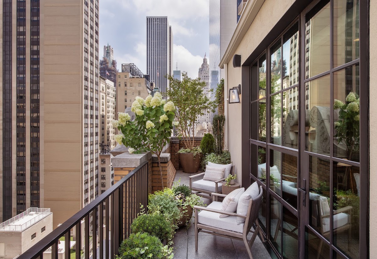 Best dog-friendly hotels in new york