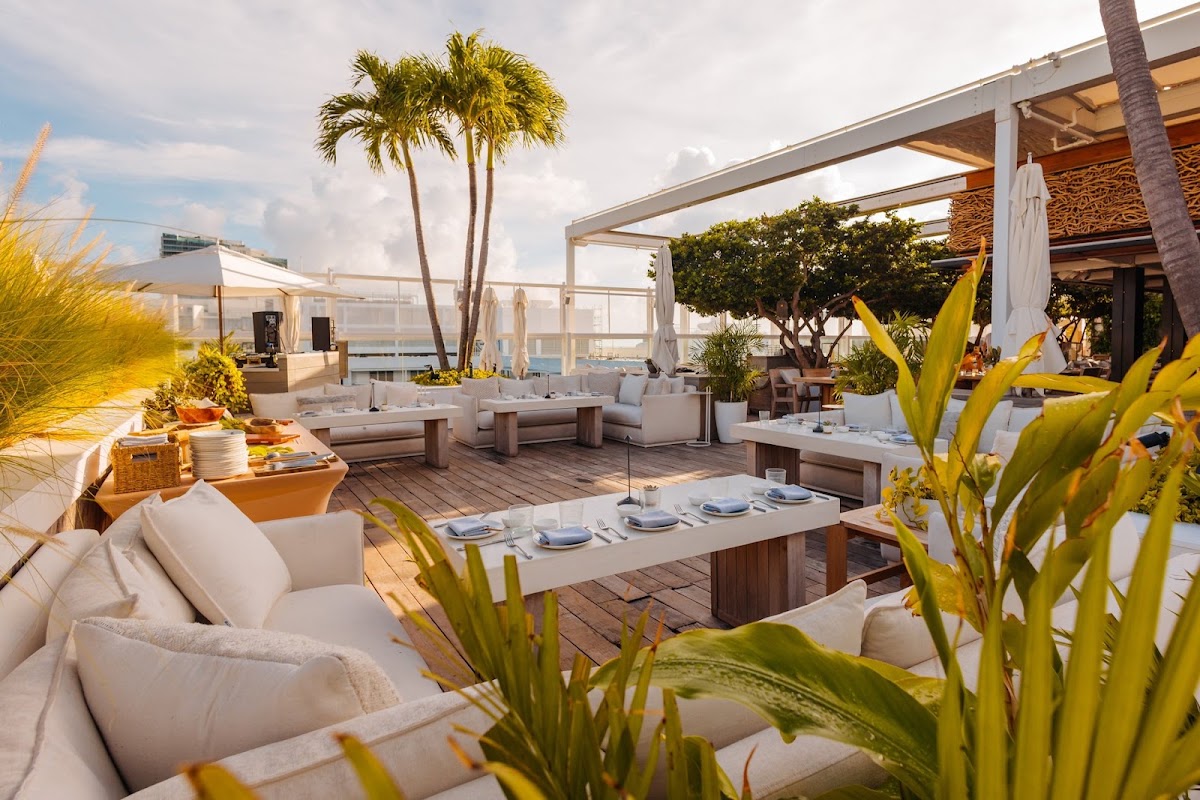 Best dog-friendly hotels in miami beach