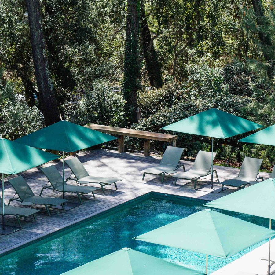 Best dog-friendly hotels in arcachon and cap ferret