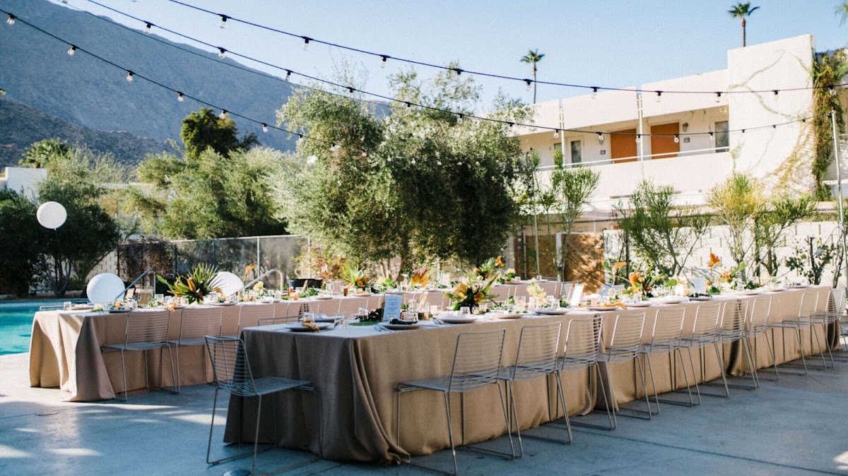 Best dog-friendly hotels in palm springs