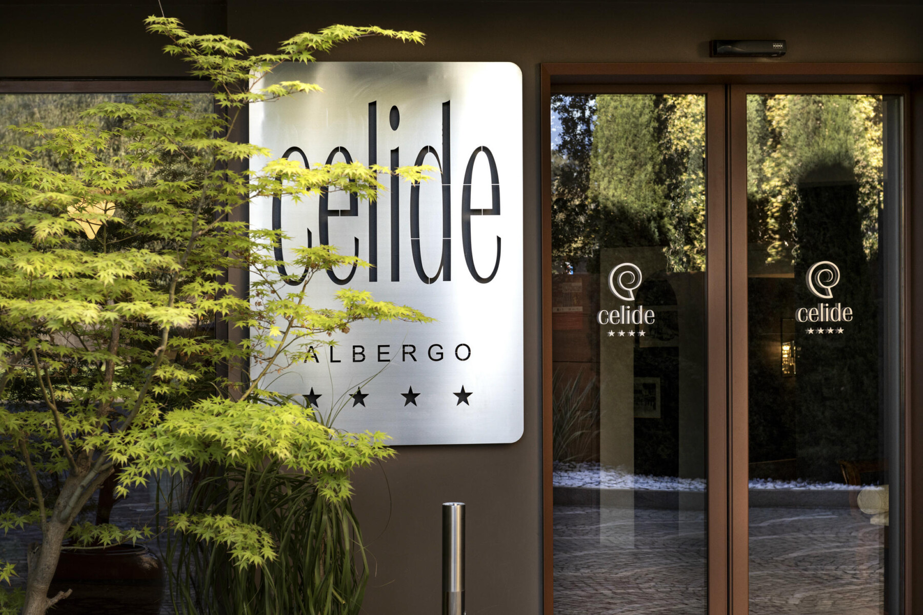 Best dog-friendly hotels in versilia and lucca
