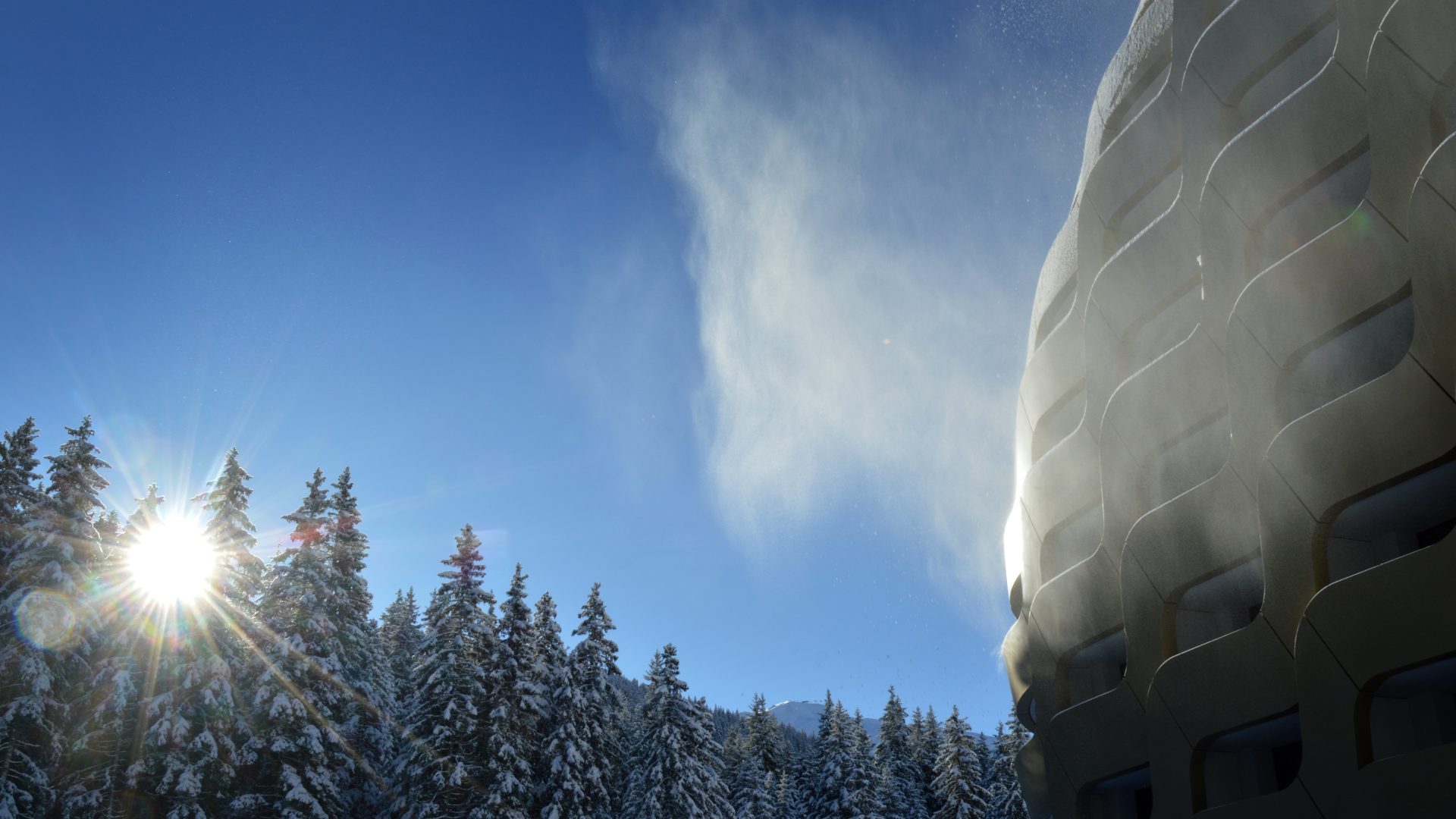 AlpenGold Hotel Davos, dog-friendly hotel in Graubunden