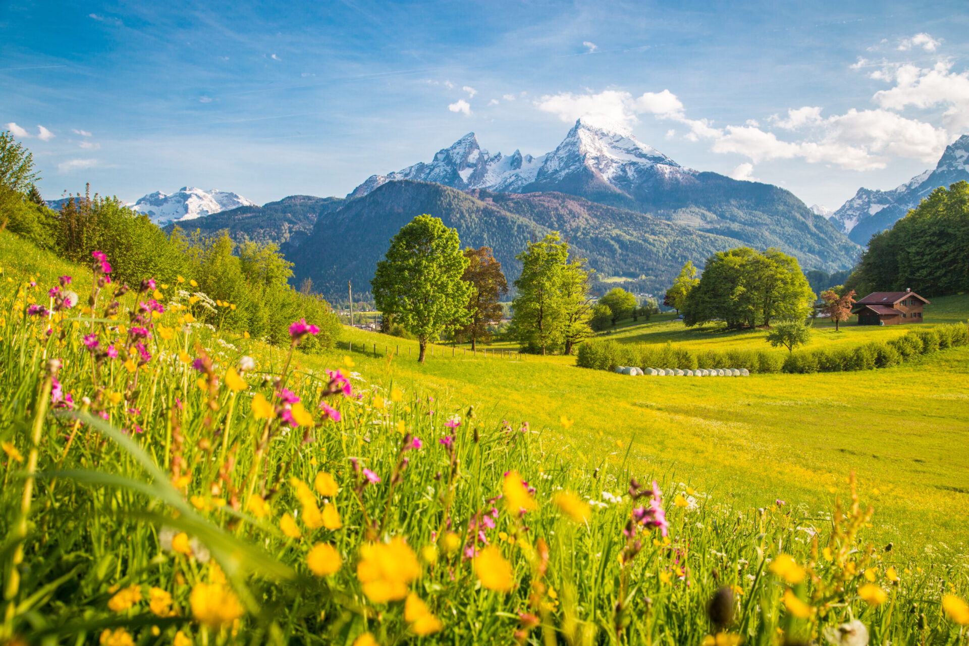 Alpenhotel Fischer, dog-friendly hotel in Bavarian Alps and Lakes