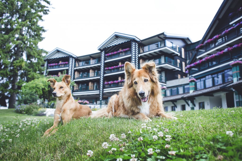 Alpin Resort Sacher Seefeld-Tirol, dog-friendly hotel in Seefeld