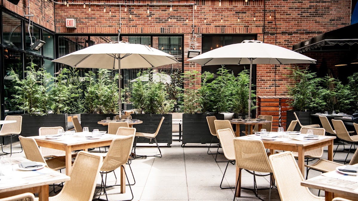 Arlo SoHo, dog-friendly hotel in New York