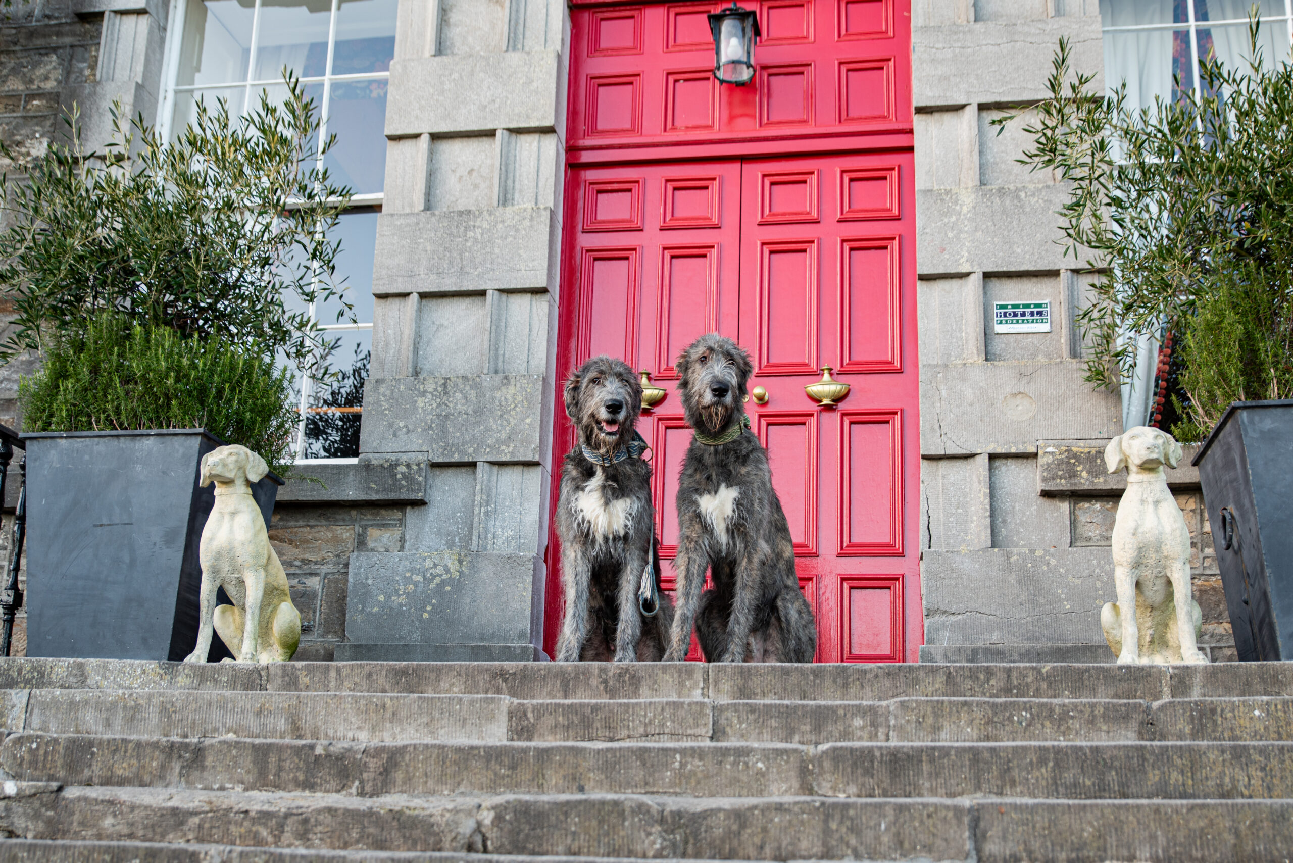 Bellinter House, dog-friendly hotel in Ireland