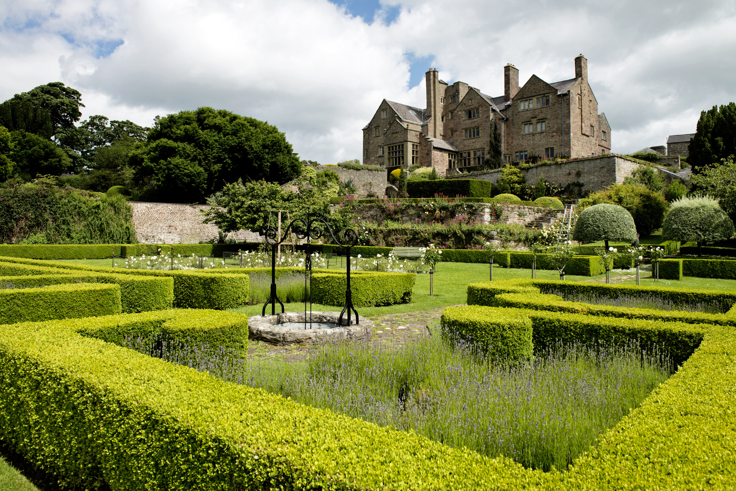 Best dog-friendly hotels in wales