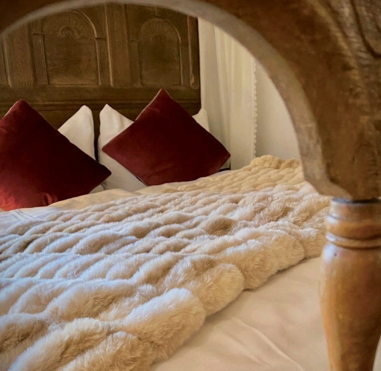 Best dog-friendly hotels in mosel and rhine