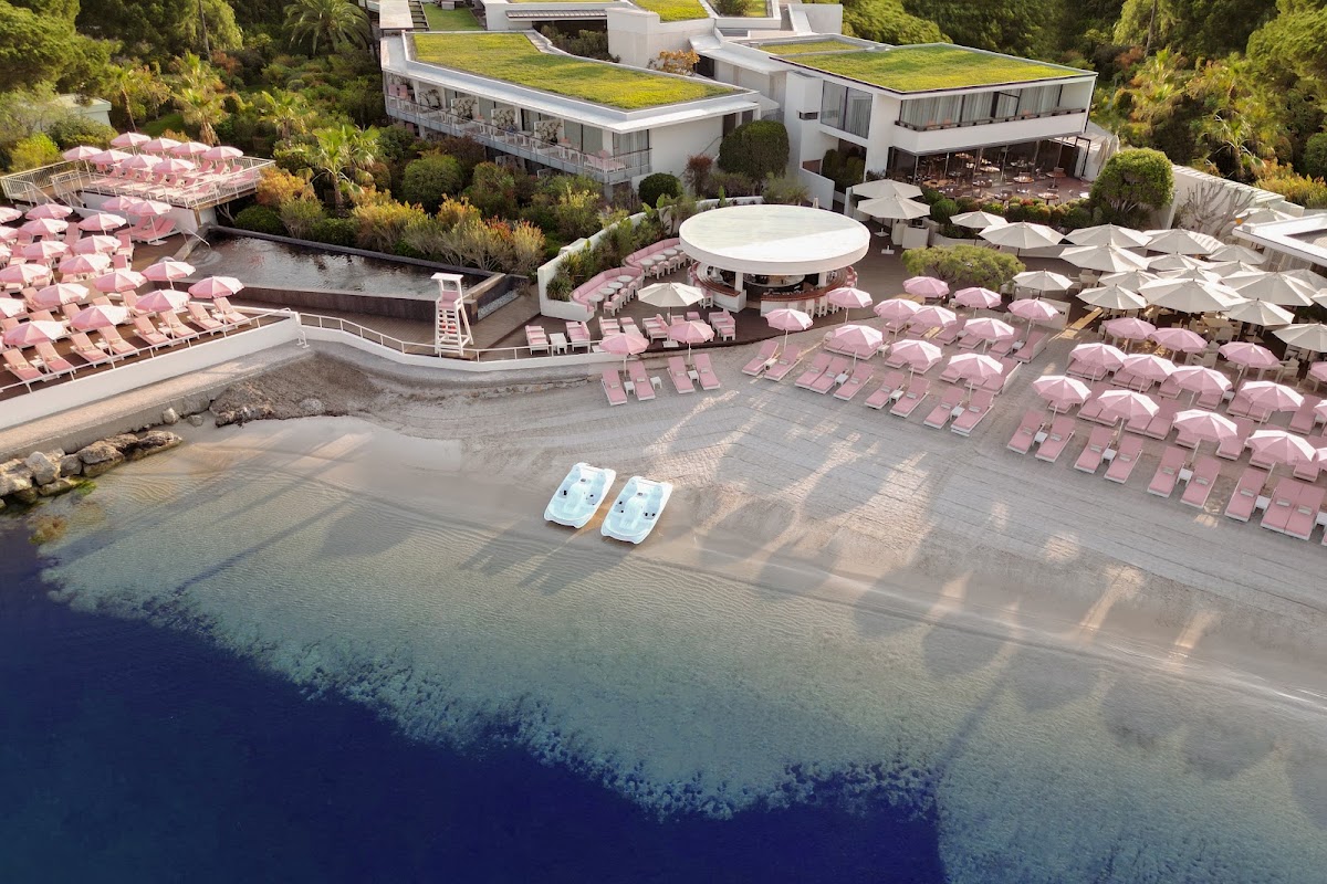 Best dog-friendly hotels in antibes