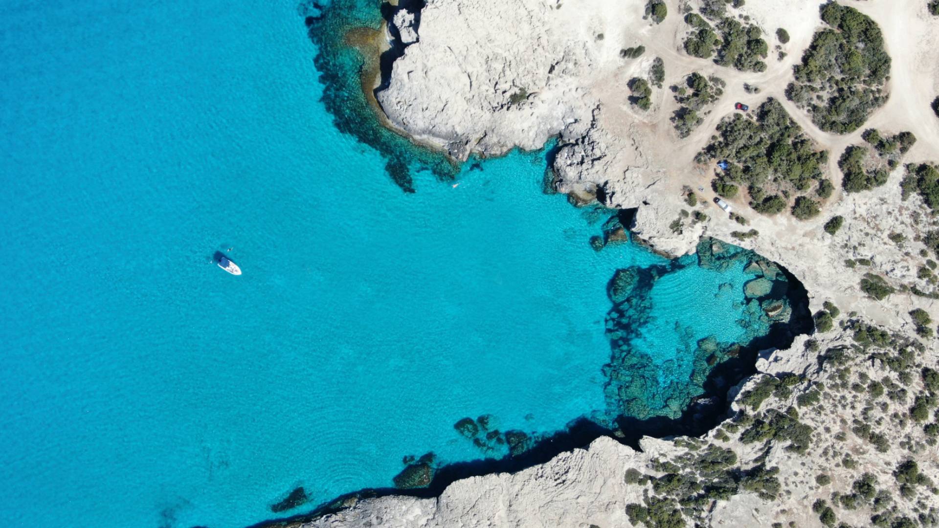 Cap St Georges Hotel & Resort, dog-friendly hotel in Cyprus