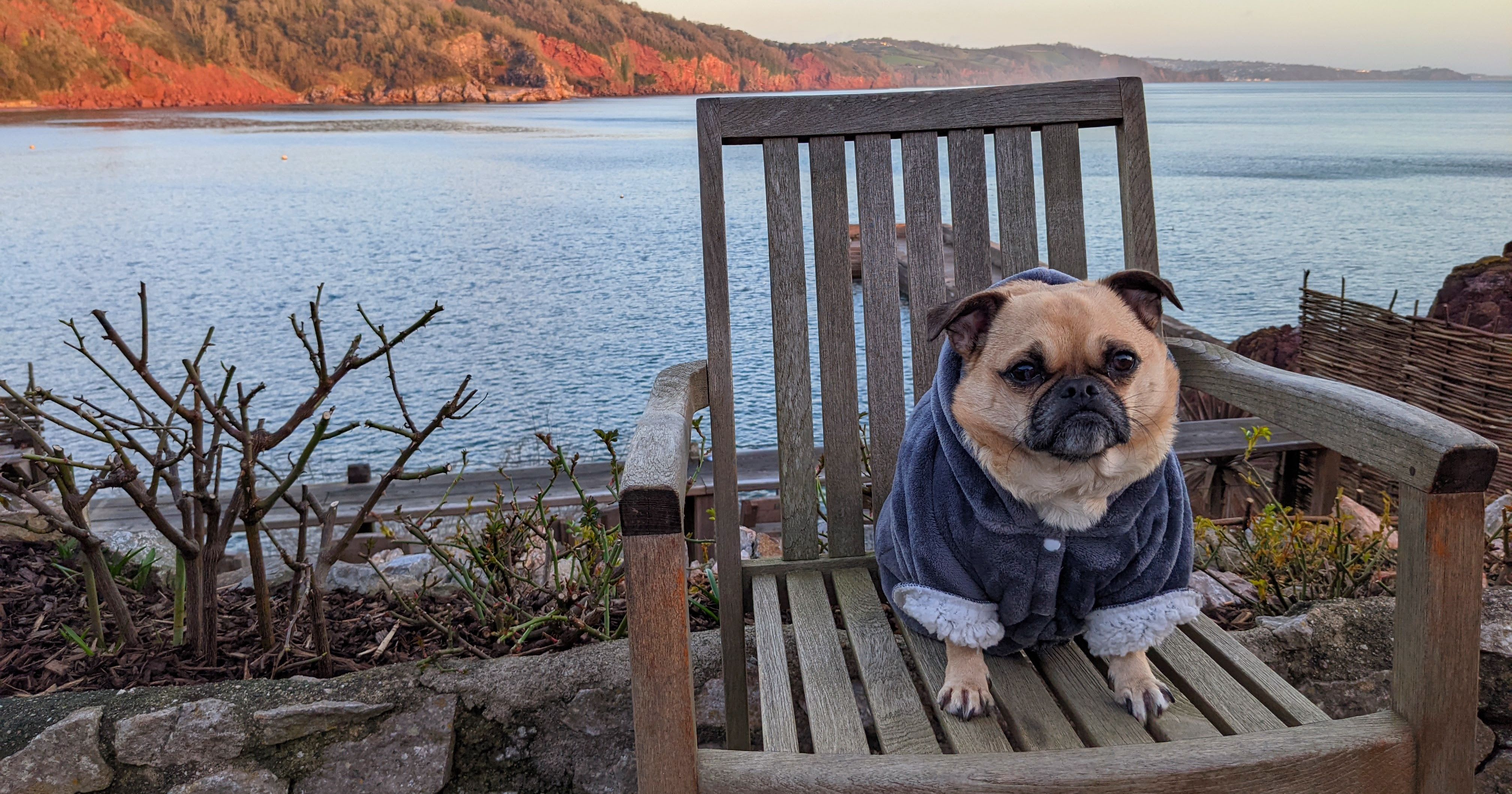 Cary Arms & Spa, dog-friendly hotel in Devon