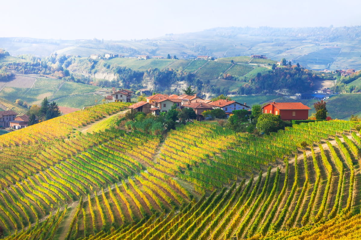 Castello di Guarene, dog-friendly hotel in Turin and Piedmont