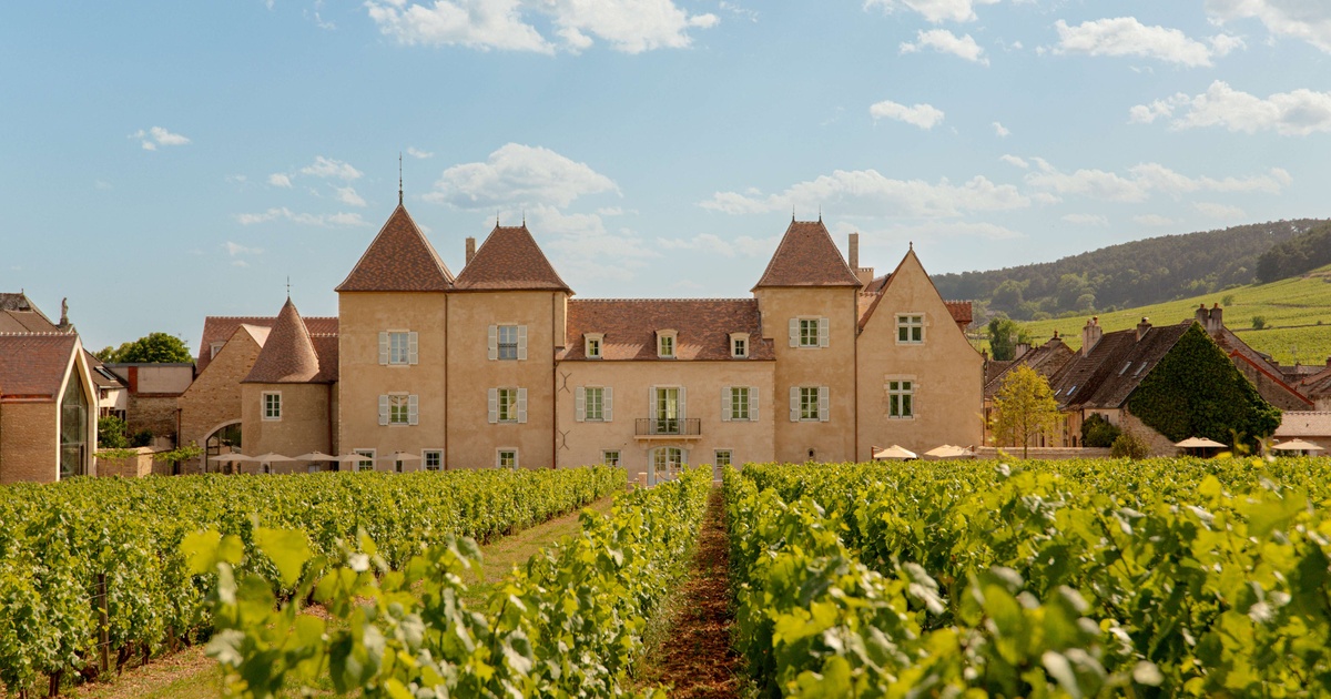 Château la Commaraine, dog-friendly hotel in Burgundy