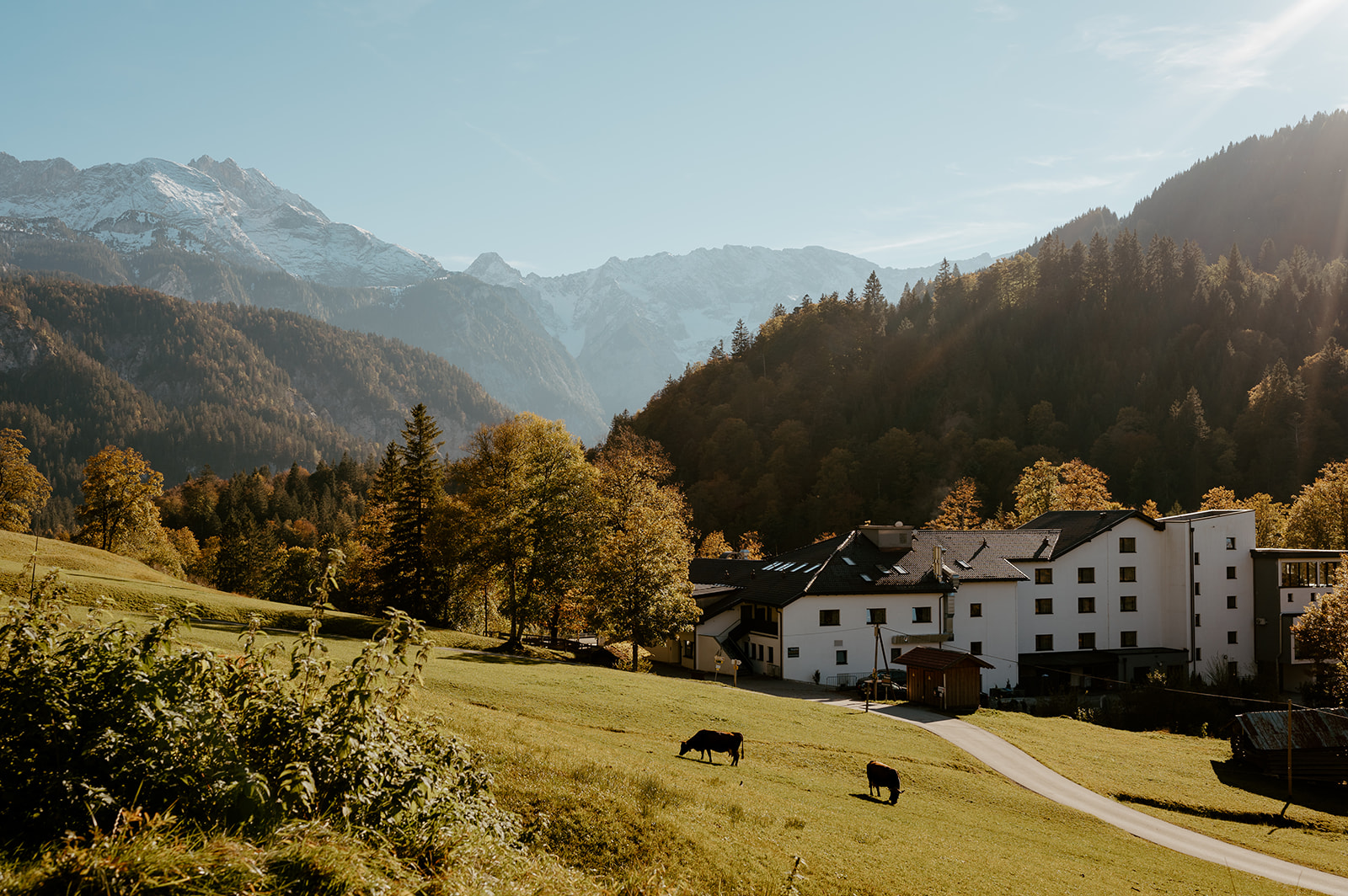 Das Graseck, dog-friendly hotel in Bavarian Alps and Lakes