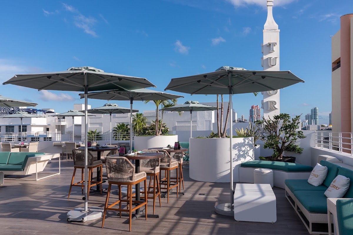 Dream South Beach, dog-friendly hotel in Miami Beach