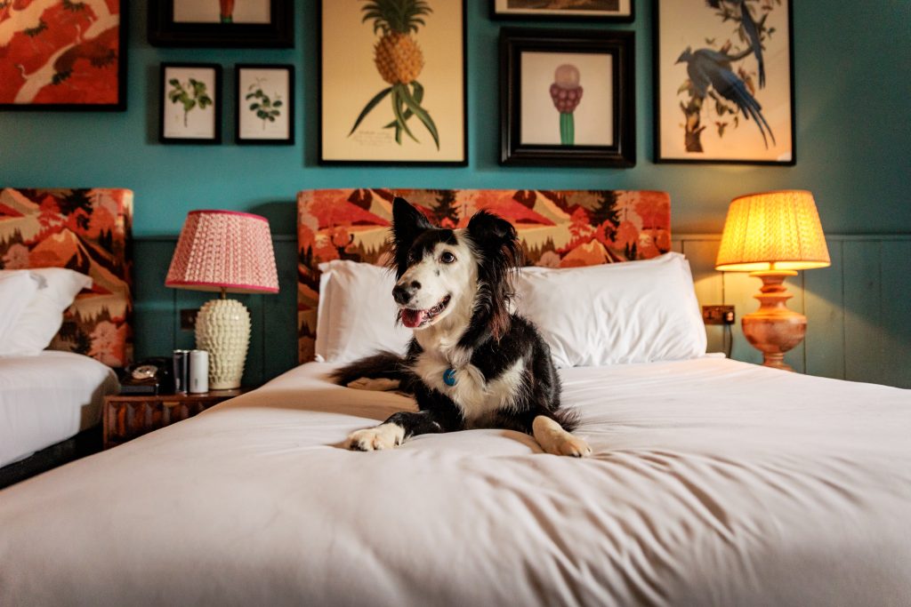 Glasson Lakehouse, dog-friendly hotel in Ireland