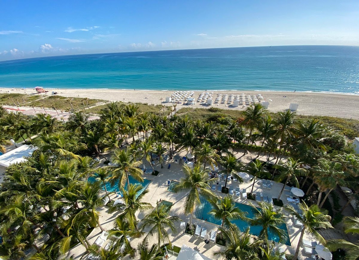 Grand Beach Hotel Miami Beach, dog-friendly hotel in Miami Beach
