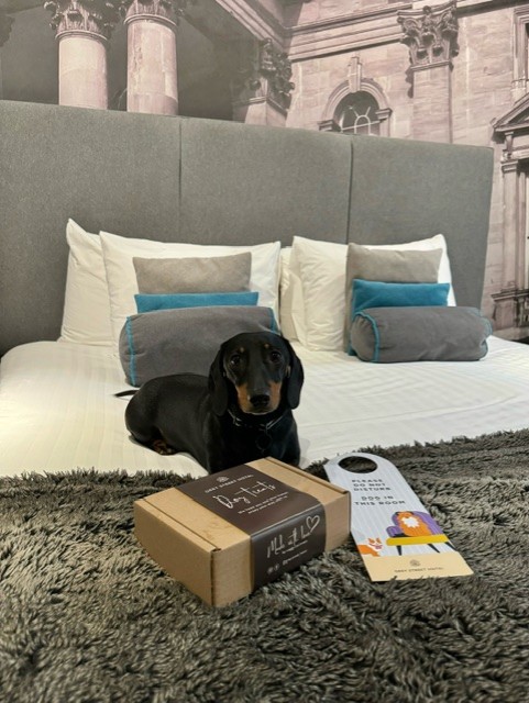 Grey Street Hotel, dog-friendly hotel in Northumberland