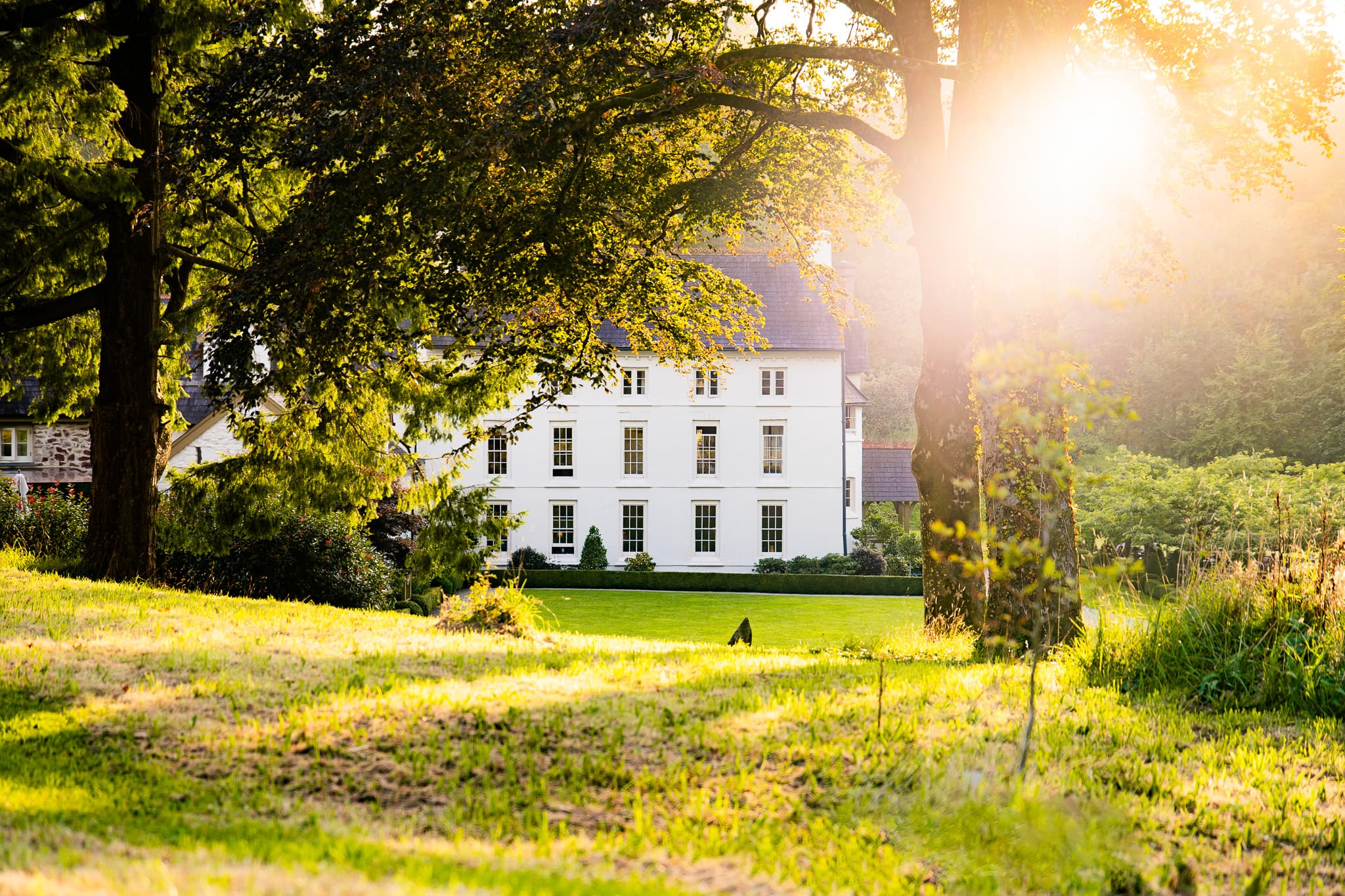 Grove of Narberth, dog-friendly hotel in Wales