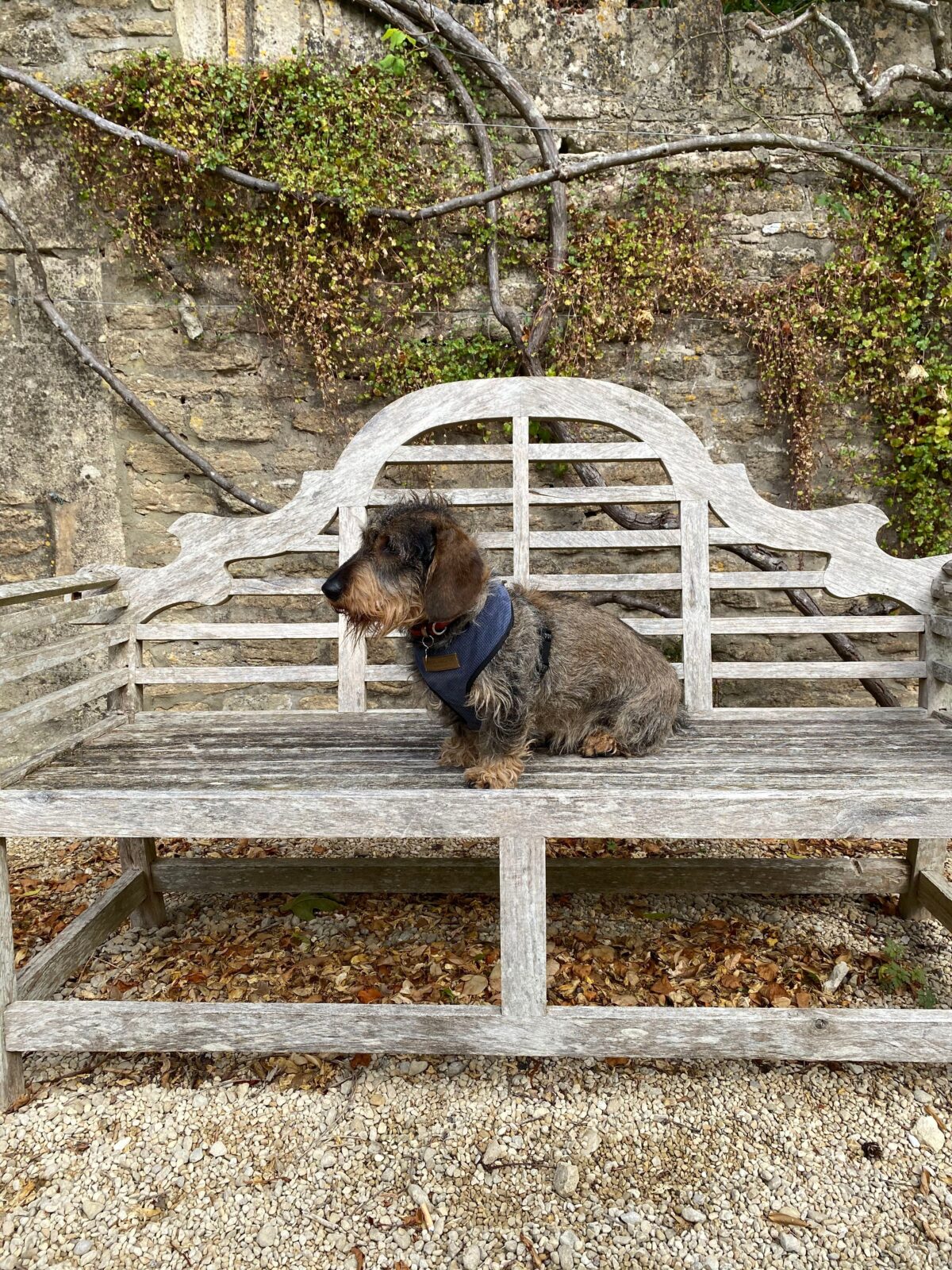 Guyers House Hotel, dog-friendly hotel in Bath