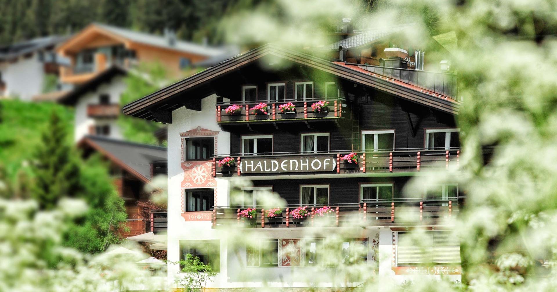 Haldenhof, dog-friendly hotel in Arlberg and Vorarlberg