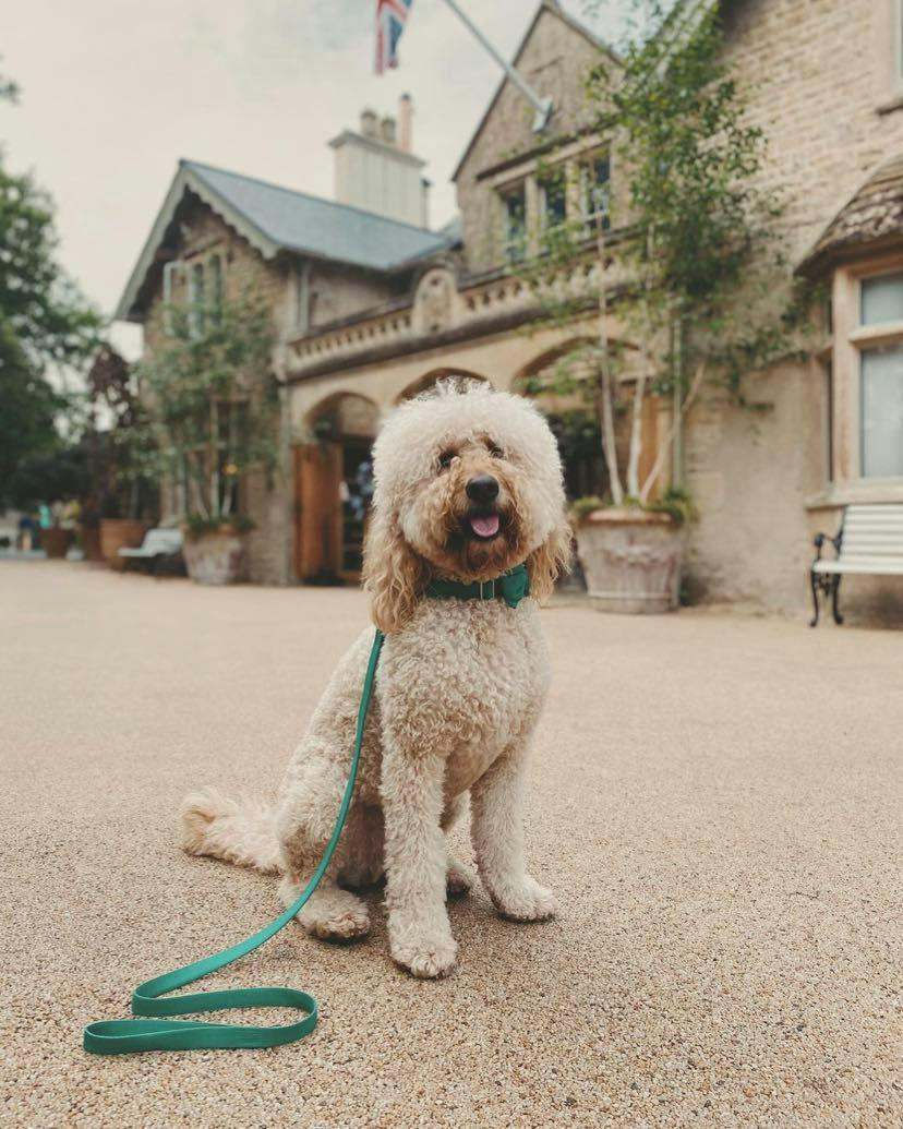 Homewood, dog-friendly hotel in Bath