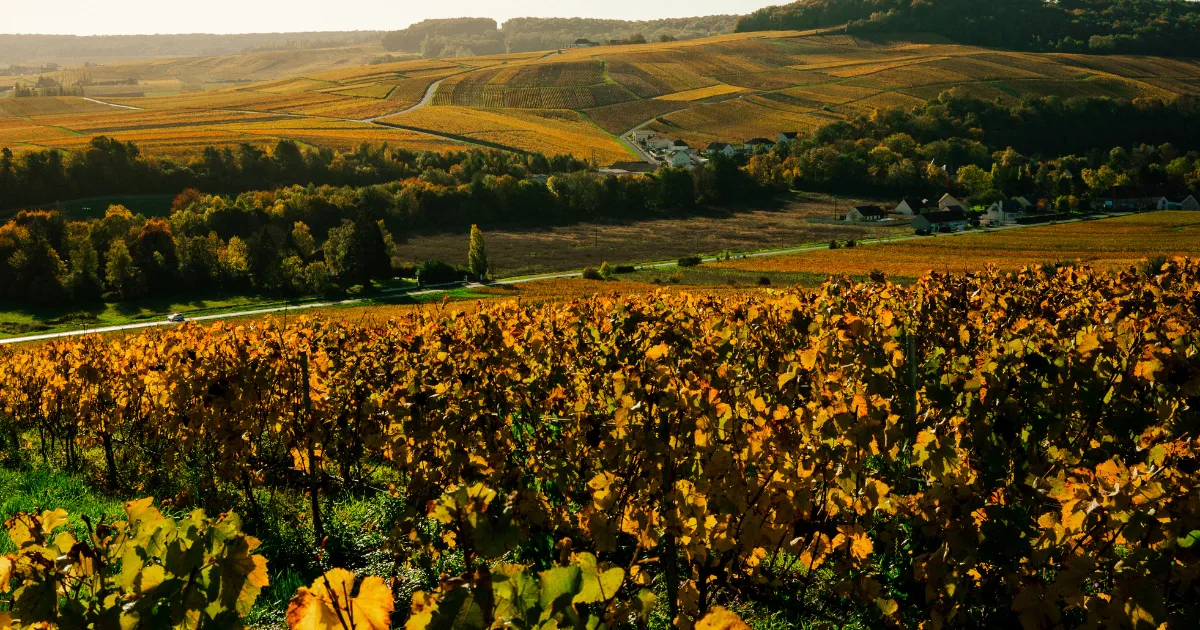 Hostellerie Briqueterie & Spa, dog-friendly hotel in Champagne