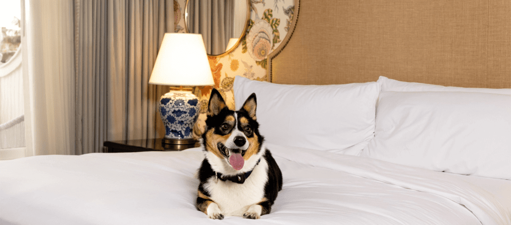 Hotel del Coronado, Curio Collection by Hilton, dog-friendly hotel in San Diego