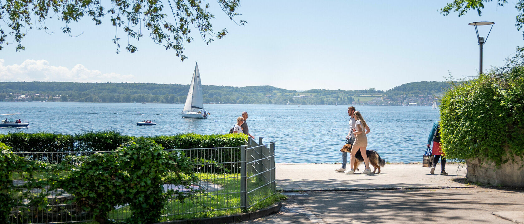 Hotel Haus Seehang, dog-friendly hotel in Lake Constance