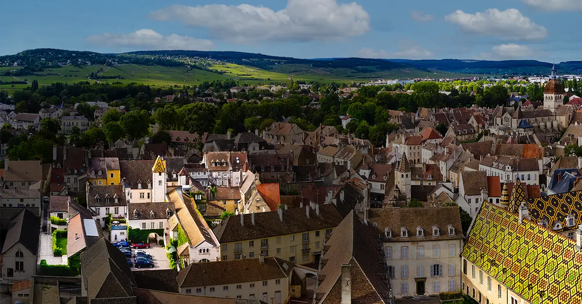 Hôtel Le Cep, dog-friendly hotel in Burgundy