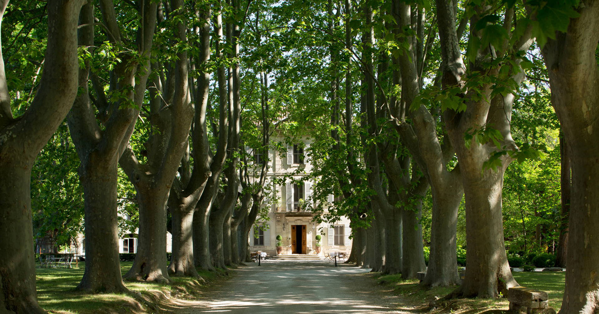Hôtel Le Château des Alpilles, dog-friendly hotel in Luberon and the Alpilles