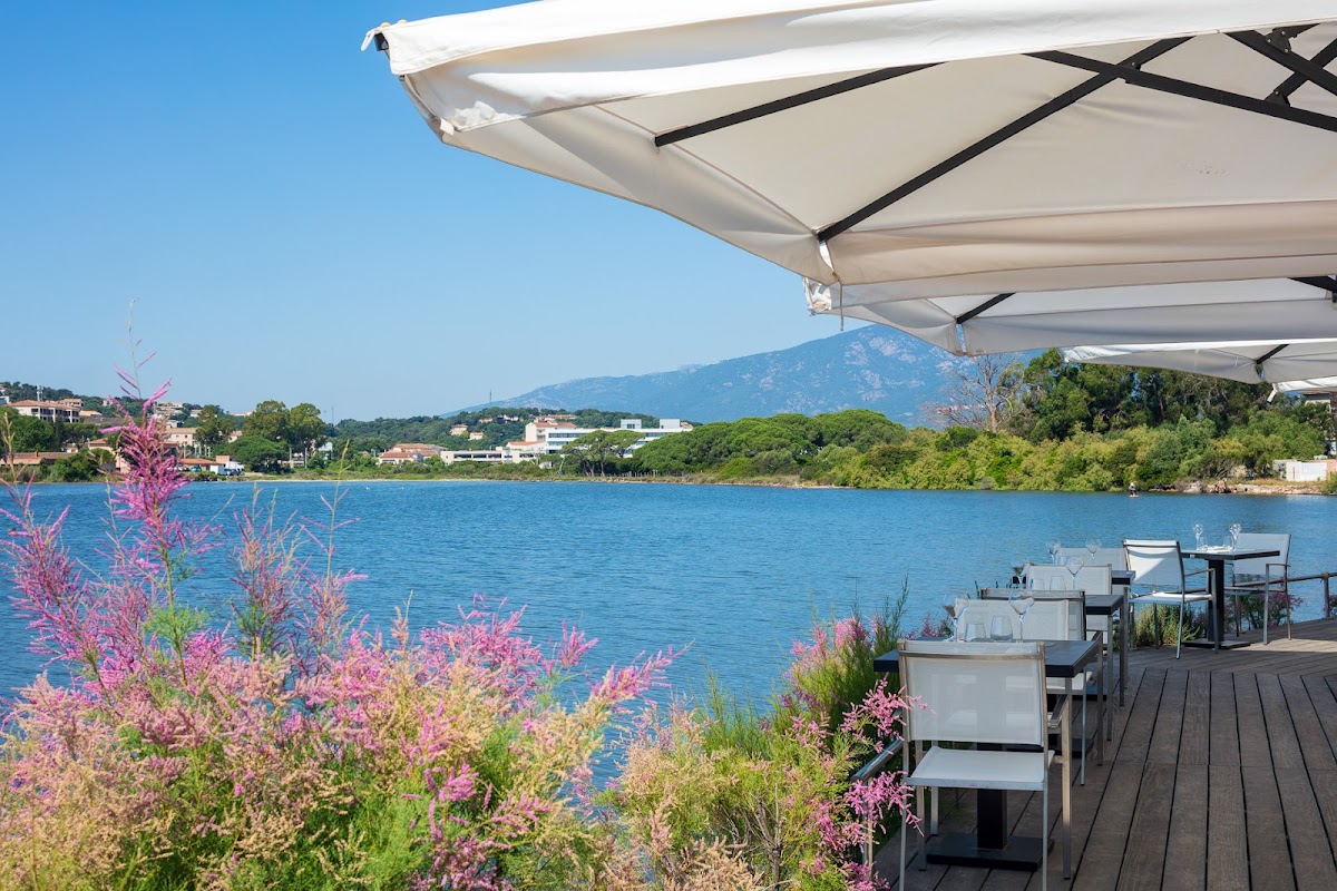 Hôtel Le Don César, dog-friendly hotel in Corsica