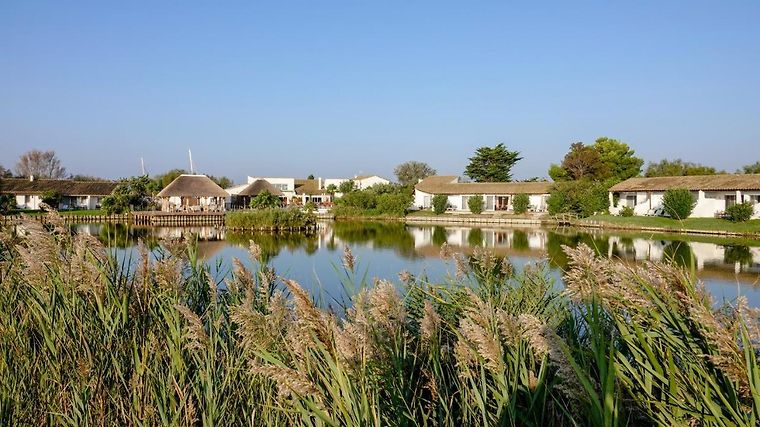 Hôtel L'Estelle en Camargue, dog-friendly hotel in Camargue and Languedoc