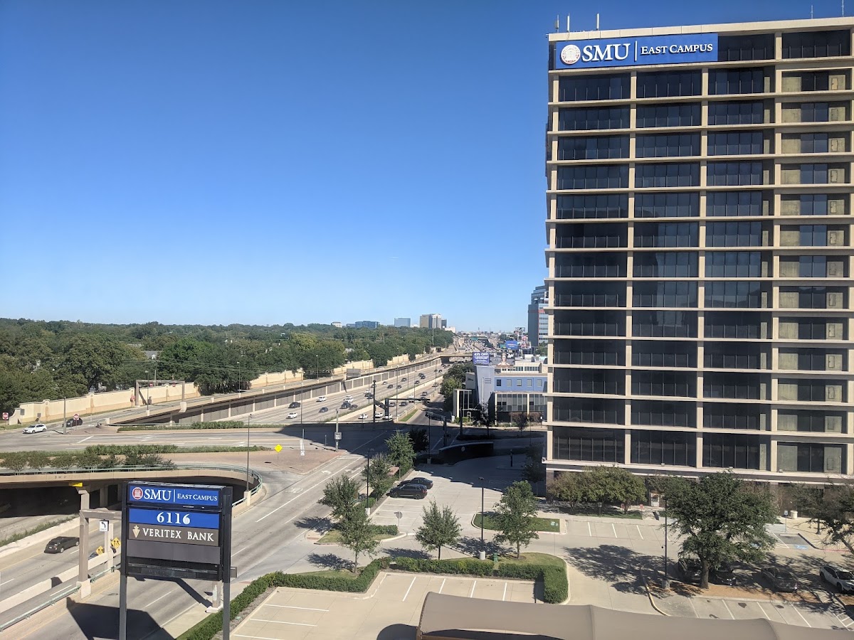 Hotel Mockingbird Dallas, dog-friendly hotel in Dallas