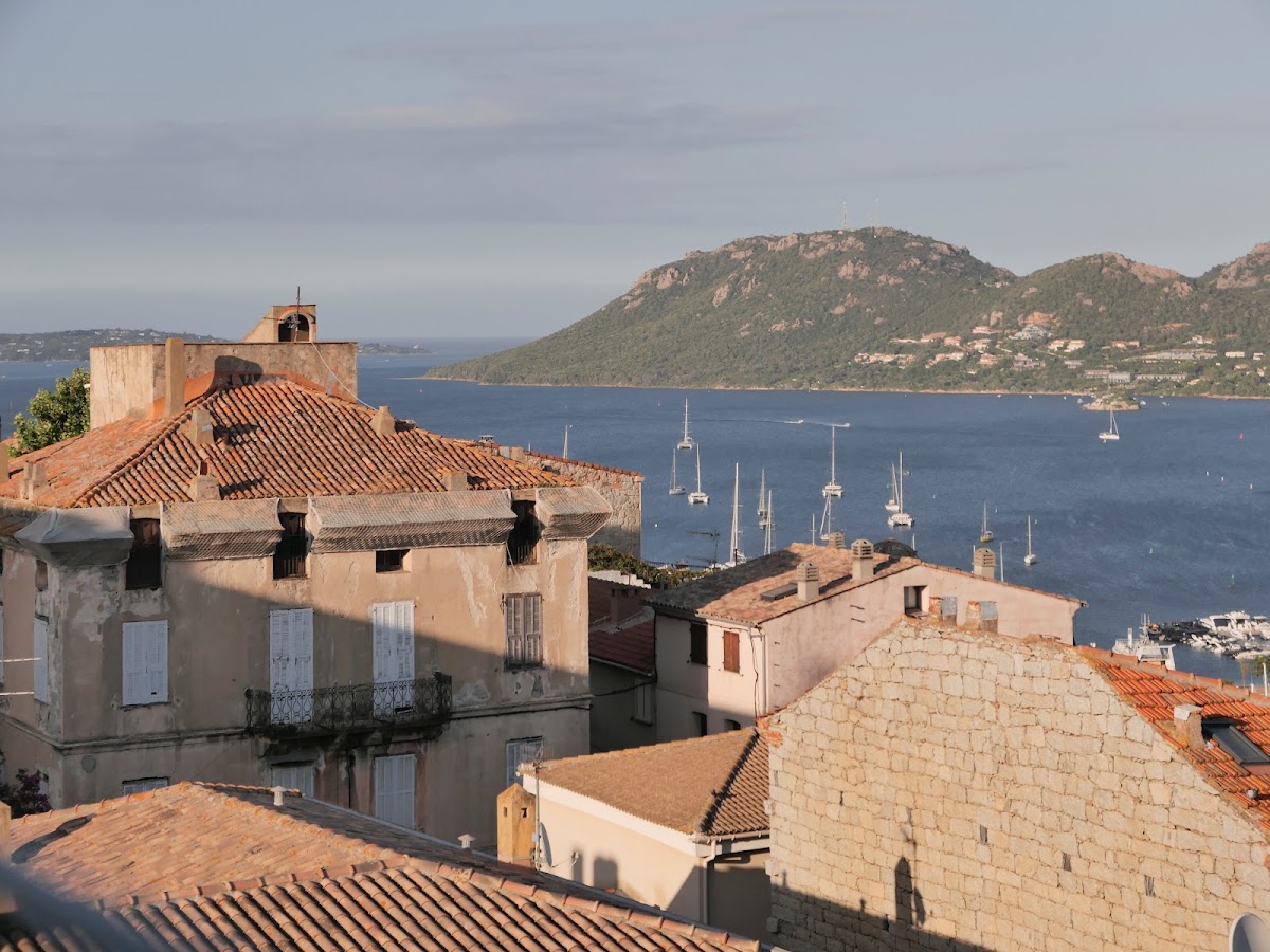 Hôtel Moderne, dog-friendly hotel in Corsica