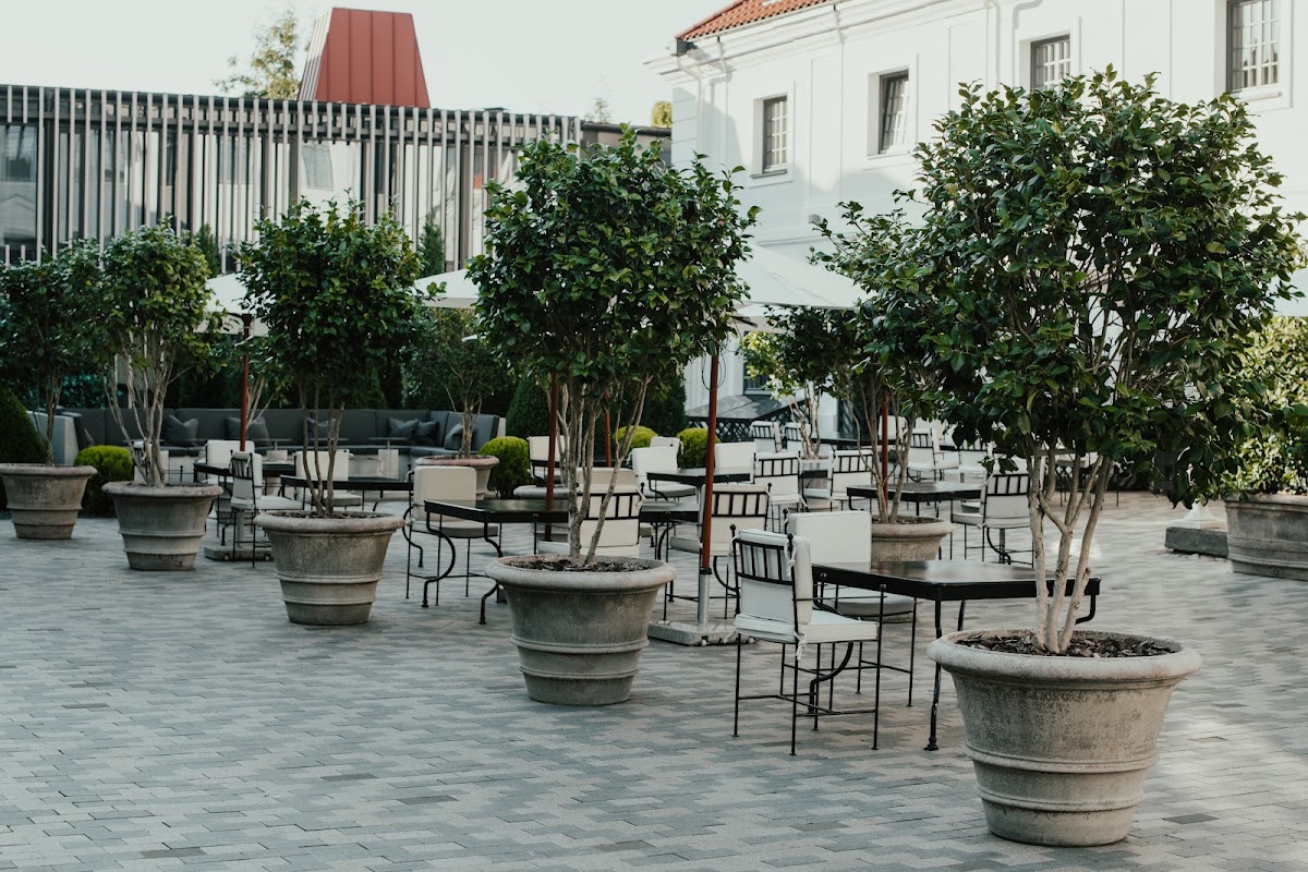 Hotel PACAI, a Member of Design Hotels, dog-friendly hotel in vilnius